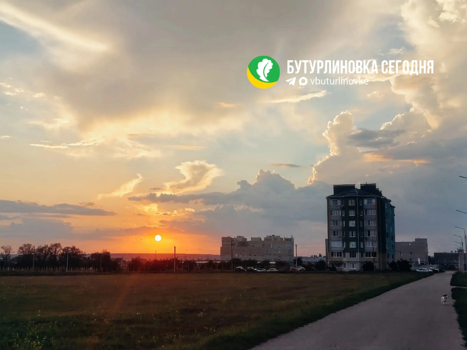 ✨ Летний вечер в Бутурлиновке

Фото Ольги Глушковой