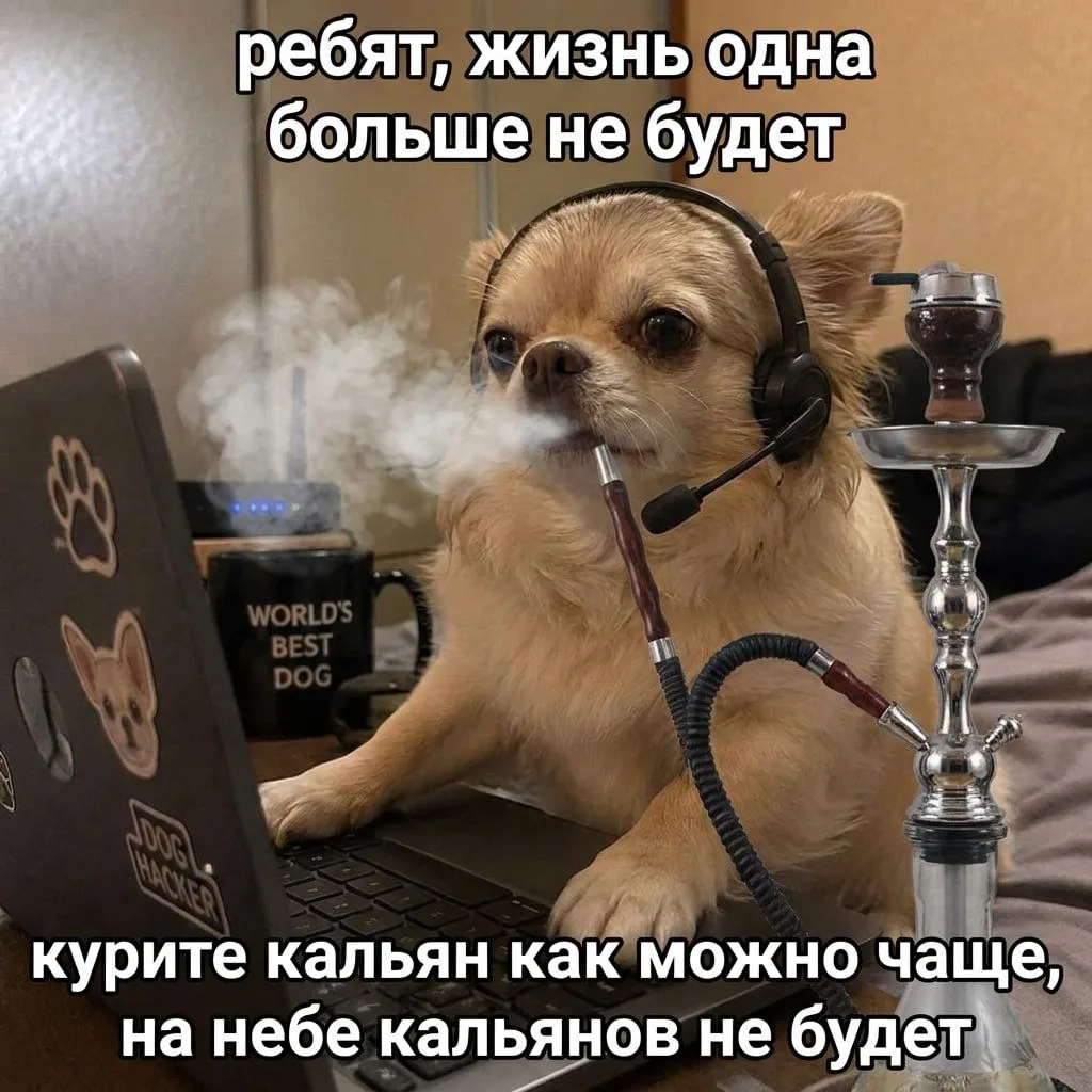 прописные истины