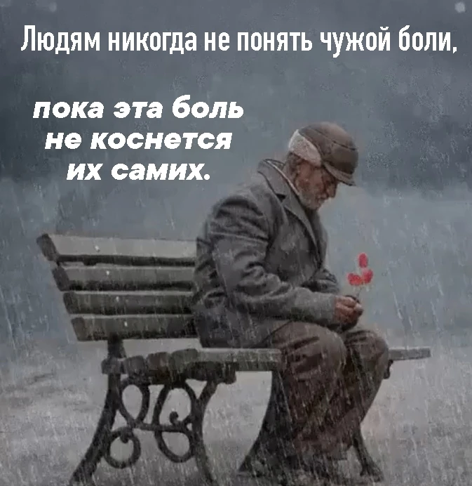 Мудрые Слова ✨