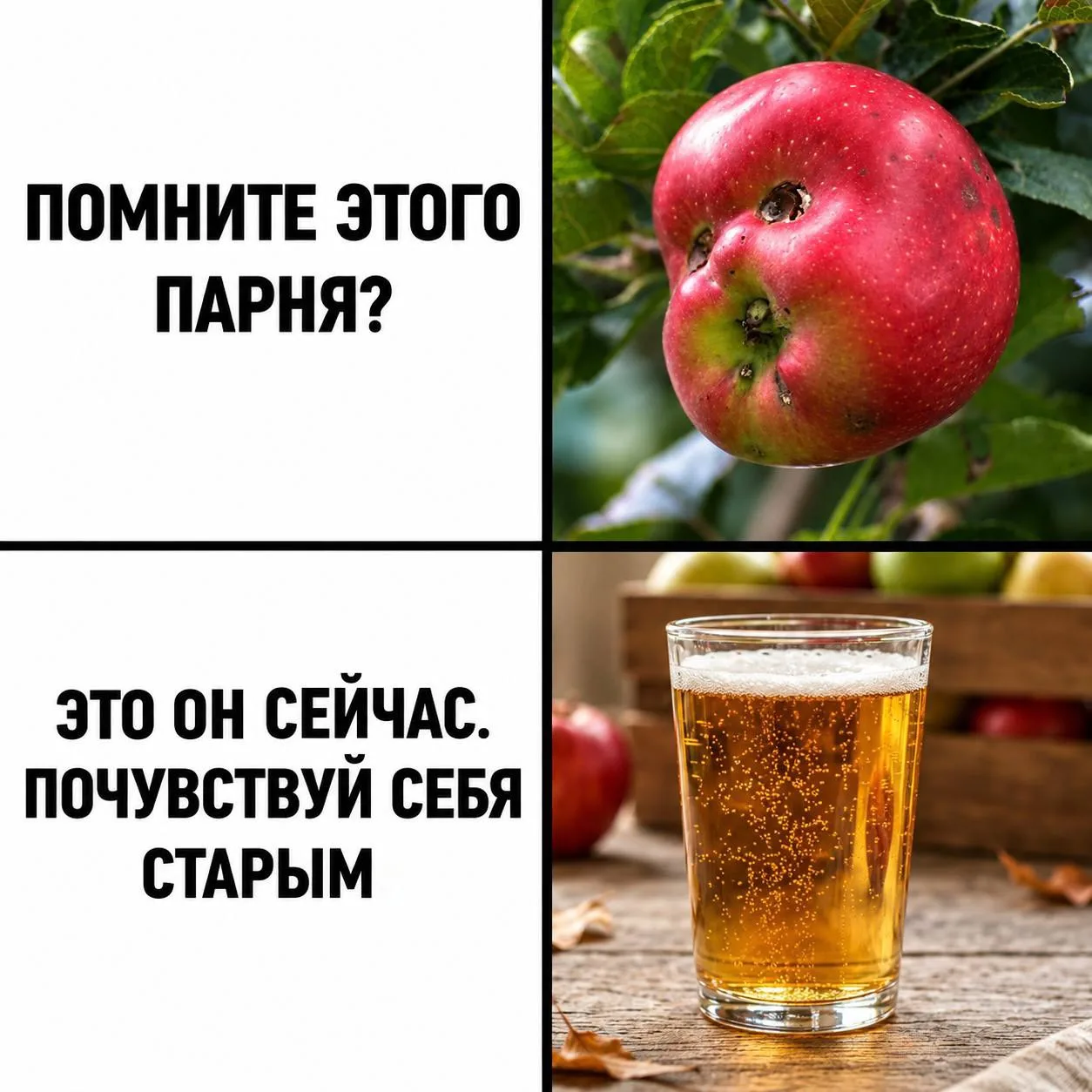 🍏 В известном баре Екатеринбурга открылся пункт приёма урожая