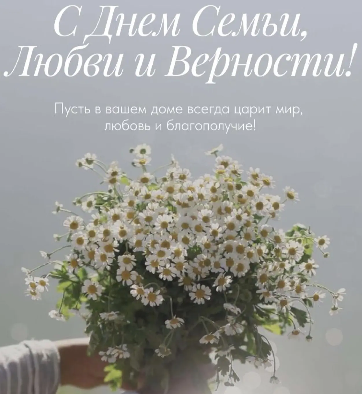 С Днём семьи, любви и верности! 🌼 

Желаем, чтобы ваш дом всегда был наполнен теплом, взаимопониман