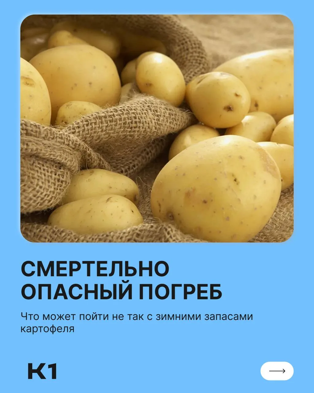 «Тихий убийца» в вашем погребе: почему запасы картофеля могут стоить жизни целой семье 🚨
