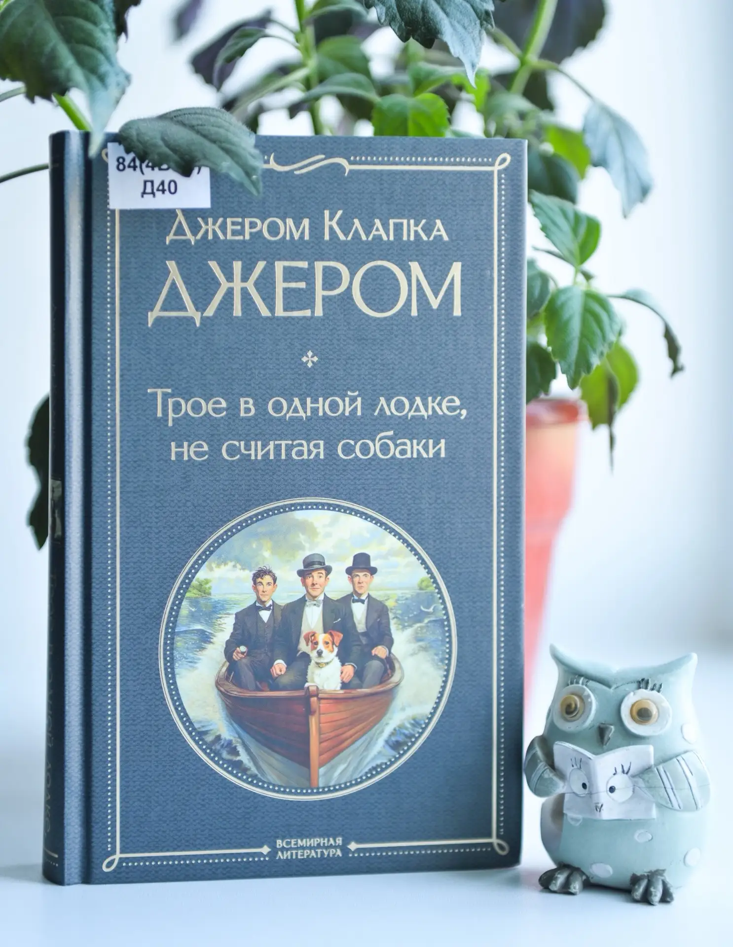 Доброго совиного утра!