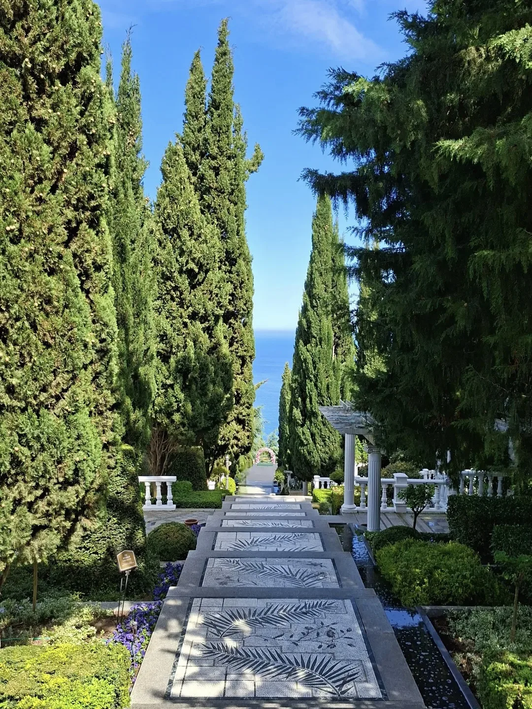Партенит
