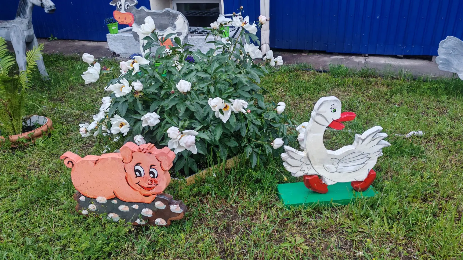 Всем доброго утра друзья!
 Хорошего дня и позитивного настроения вам 🌞🌺