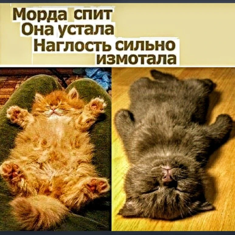 Открытки любимым 🌸🥰