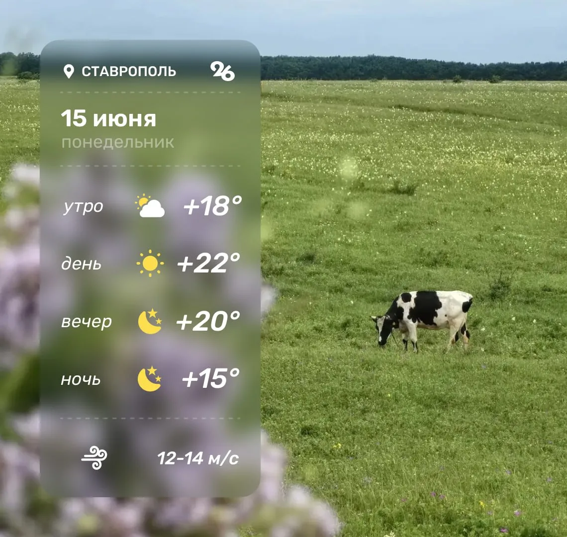 Погода в Ставрополе 15 июня

Лёгкой рабочей недели!

Прогноз: Победа 26