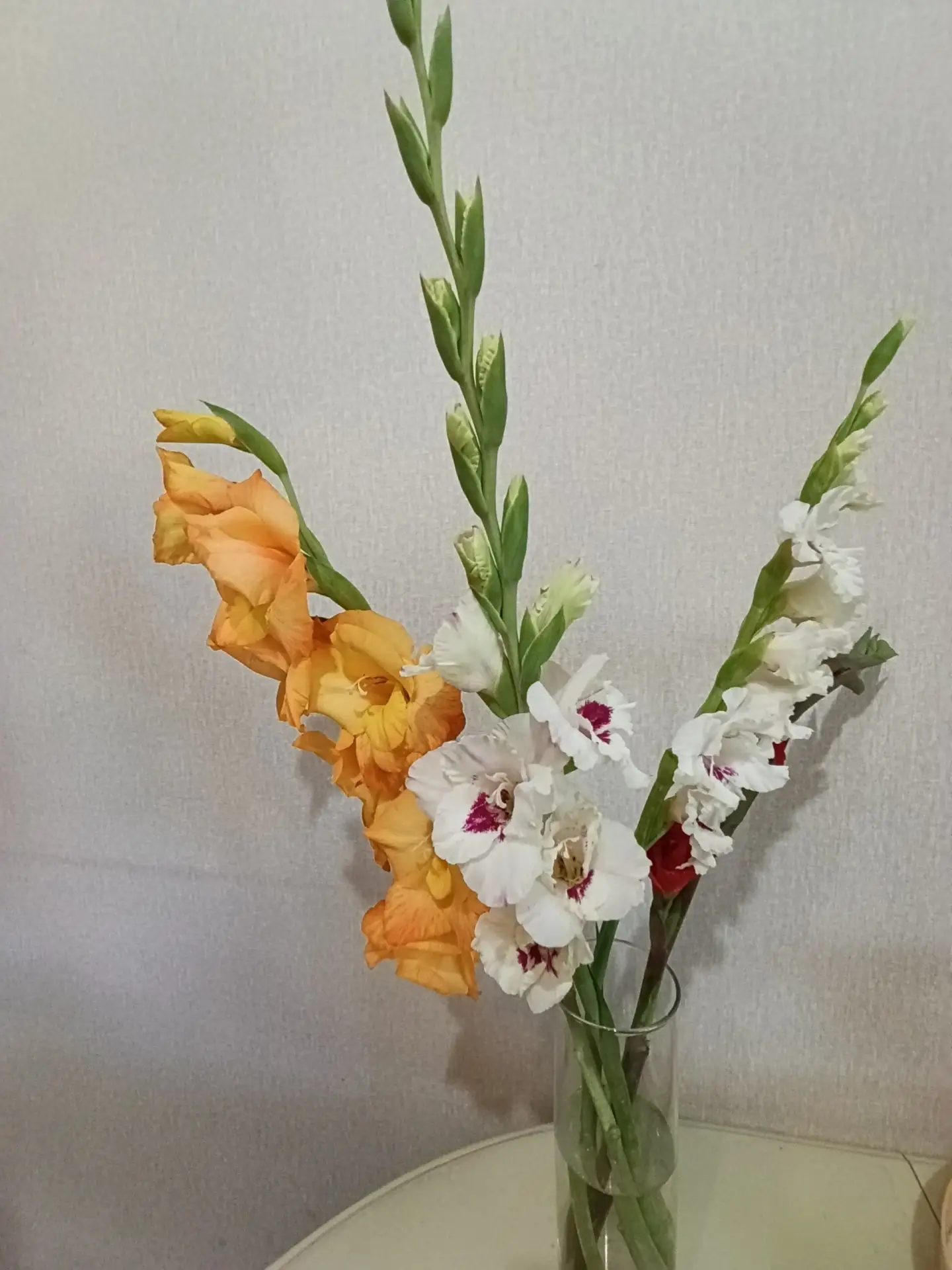 🌸 Сегодня — День гладиолуса