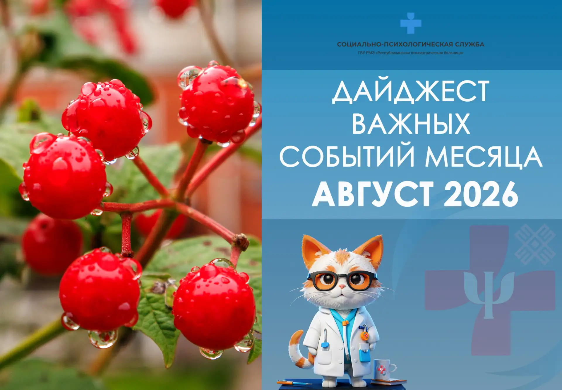 Август в 2026 году для нас - это время урожая, новых рубрик и полезных привычек🍁