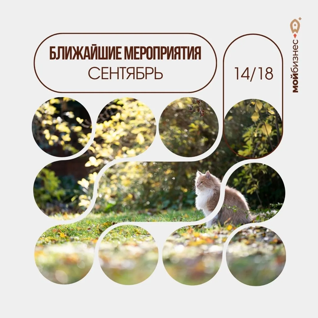 Успейте зарегистрироваться!