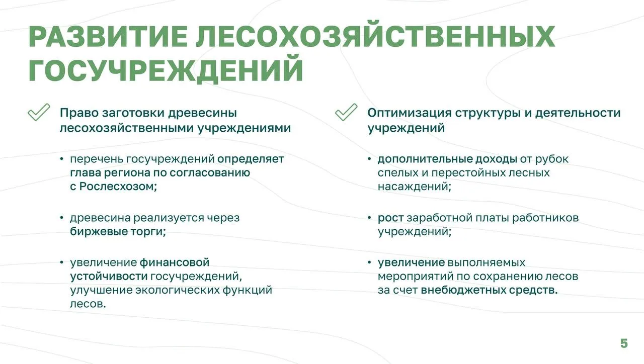 🟢 Заготовка древесины лесохозяйственными госучреждениями позволит выстроить эффективную модель хозяй