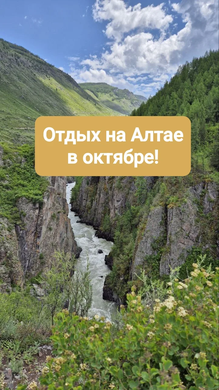 🍂Золотая  осень - отличное время для посещения Алтая!