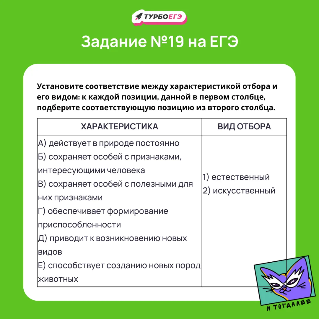 Какой ответ выбираем?