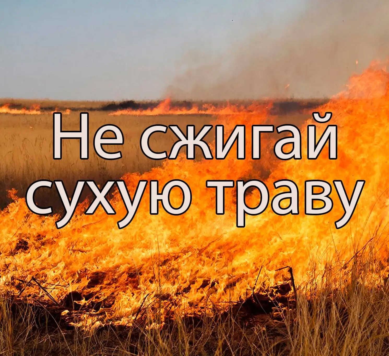 Пал травы — это не контролируемое явление, которое развивается стремительно и бесконтрольно. Сухие р
