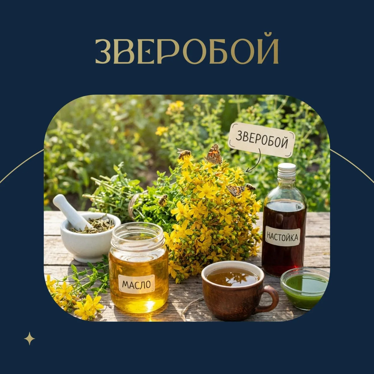 ✨ ЗВЕРОБОЙ — ПРИРОДНЫЙ ЦЕЛИТЕЛЬ ✨

Зверобой издавна считается одной из самых ценных лекарственных тр