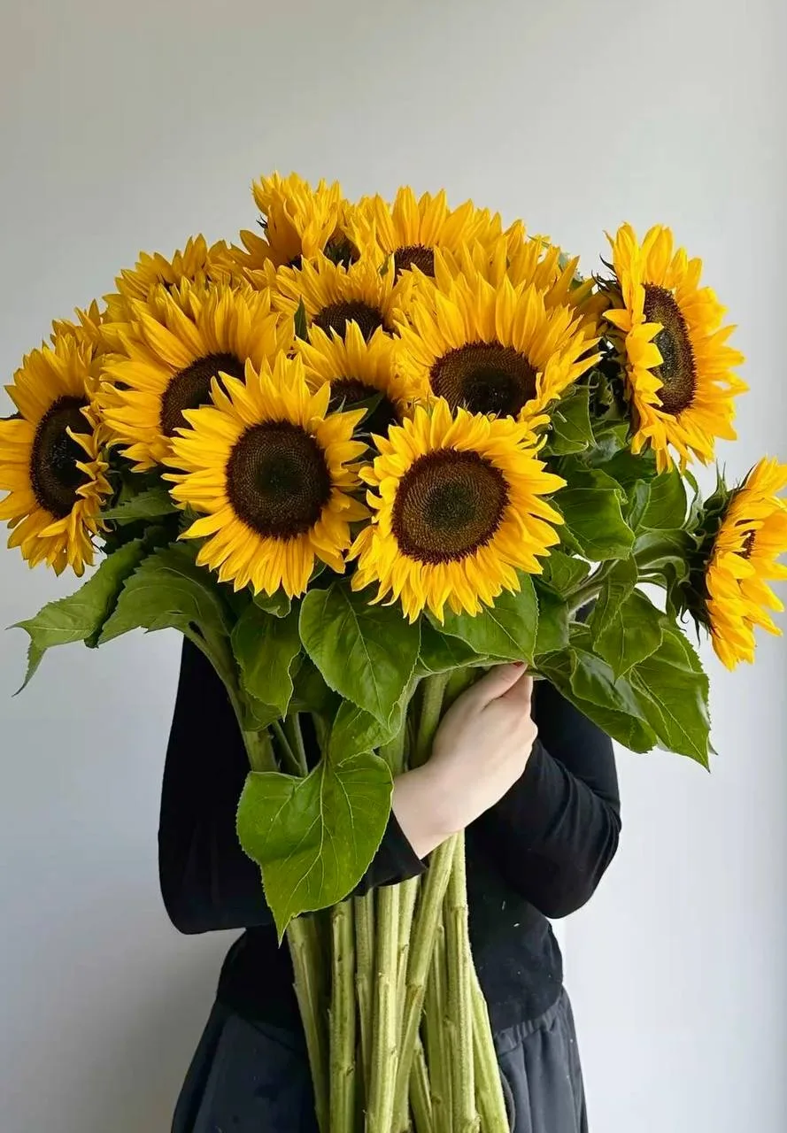 🌻 Подарят подсолнухи и угостят игристым в кафе Mates завтра 21 августа
