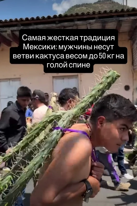 🇲🇽 Шествие с нопалями: что стоит за Procesión del Nopal