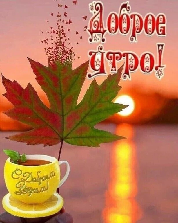КРАСИВЫЕ ОТКРЫТКИ ТУТ💖