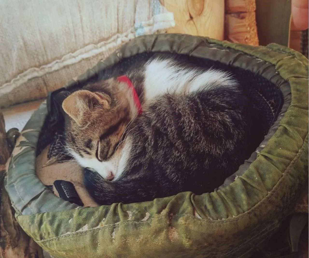 Мирной всем ночи!! 😴