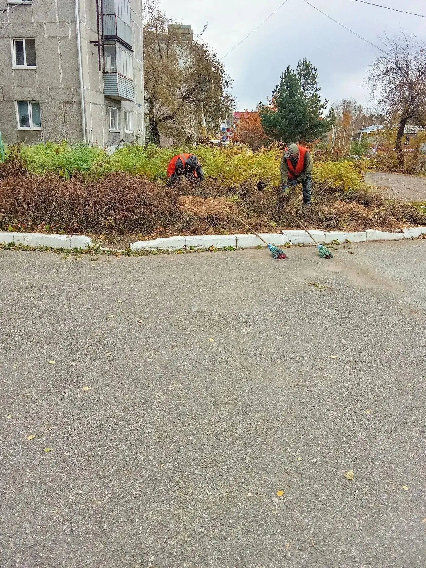 Дорогие друзья!