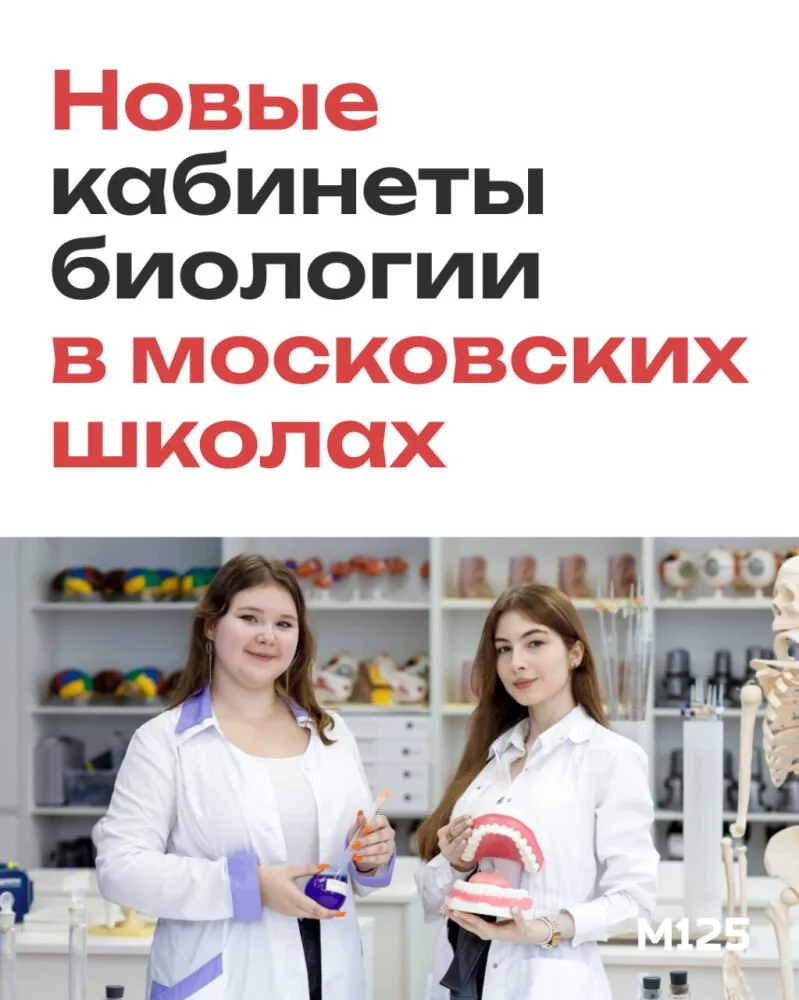 Какими будут новые кабинеты биологии в обновленных московских школах? Мэр рассказал в своем блоге, к