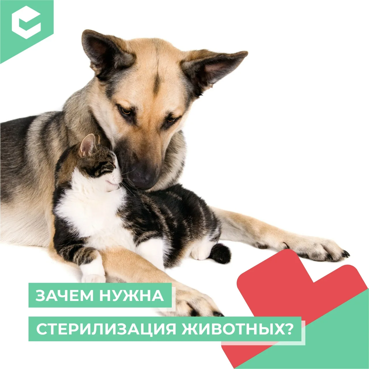 Стерилизация – это не только способ избежать появления нежелательного потомства, но и п...