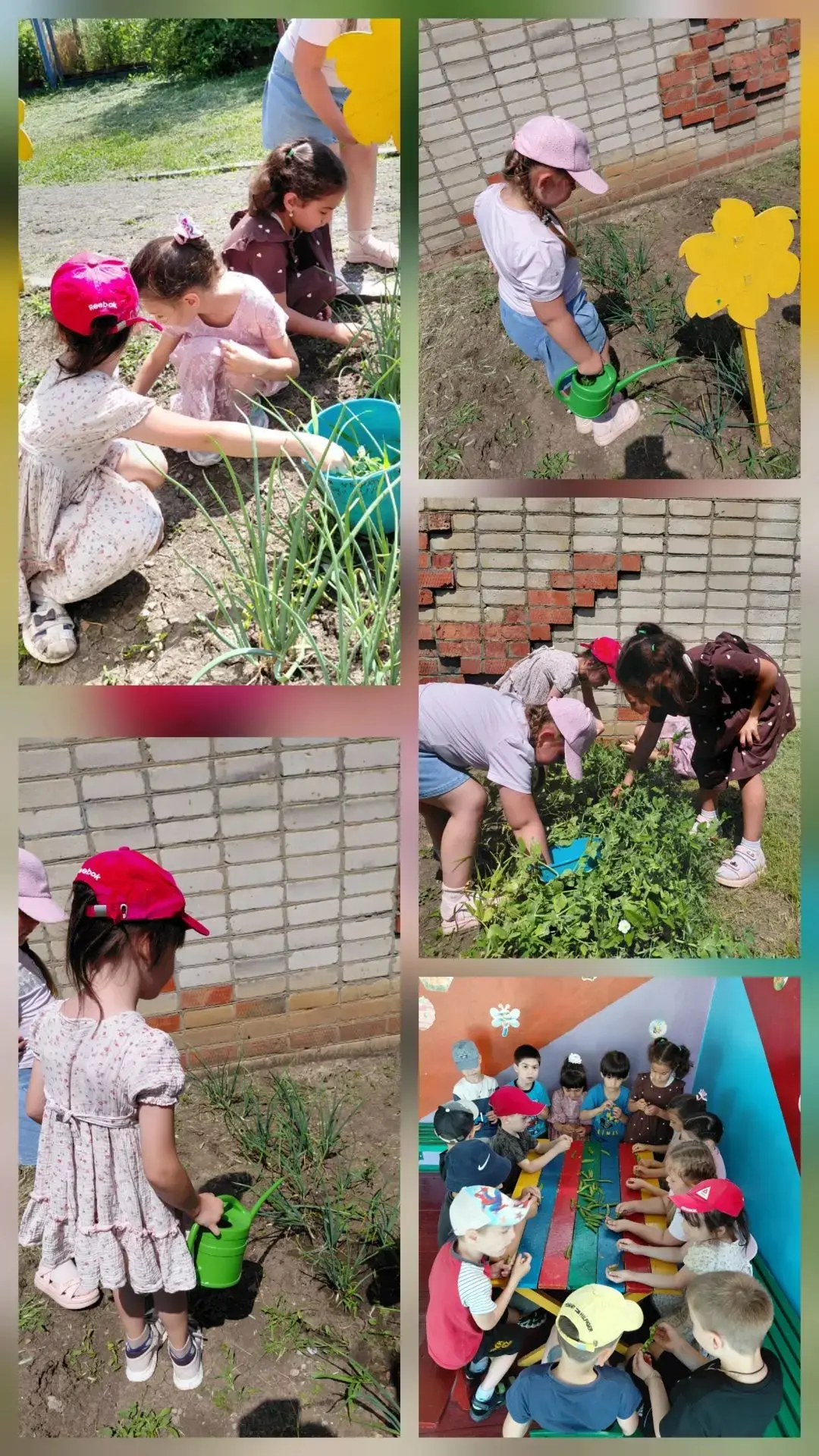 🏡Маленькие агрономы: как мы вырастили и собрали первый урожай! 🌱