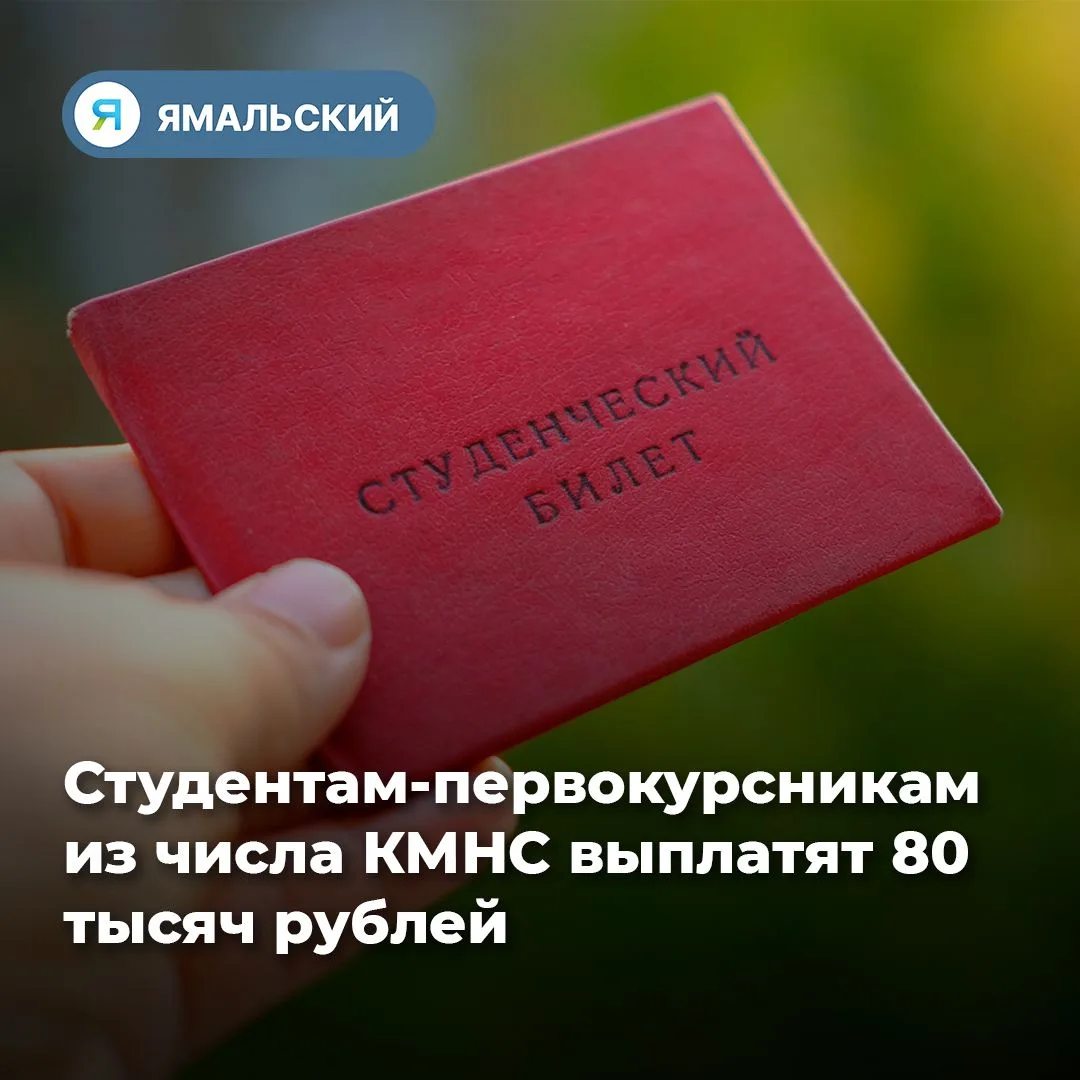 Поддержка для студентов🤝