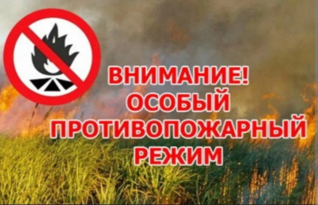 ⚠️ Внимание: во всех 13 районах Калмыкии продлён особый противопожарный режим! 🌾🔥