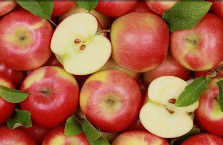 🍎 Время собирать урожай. Хотите, чтобы яблоки радовали вас до самой весны? Рассказывае...