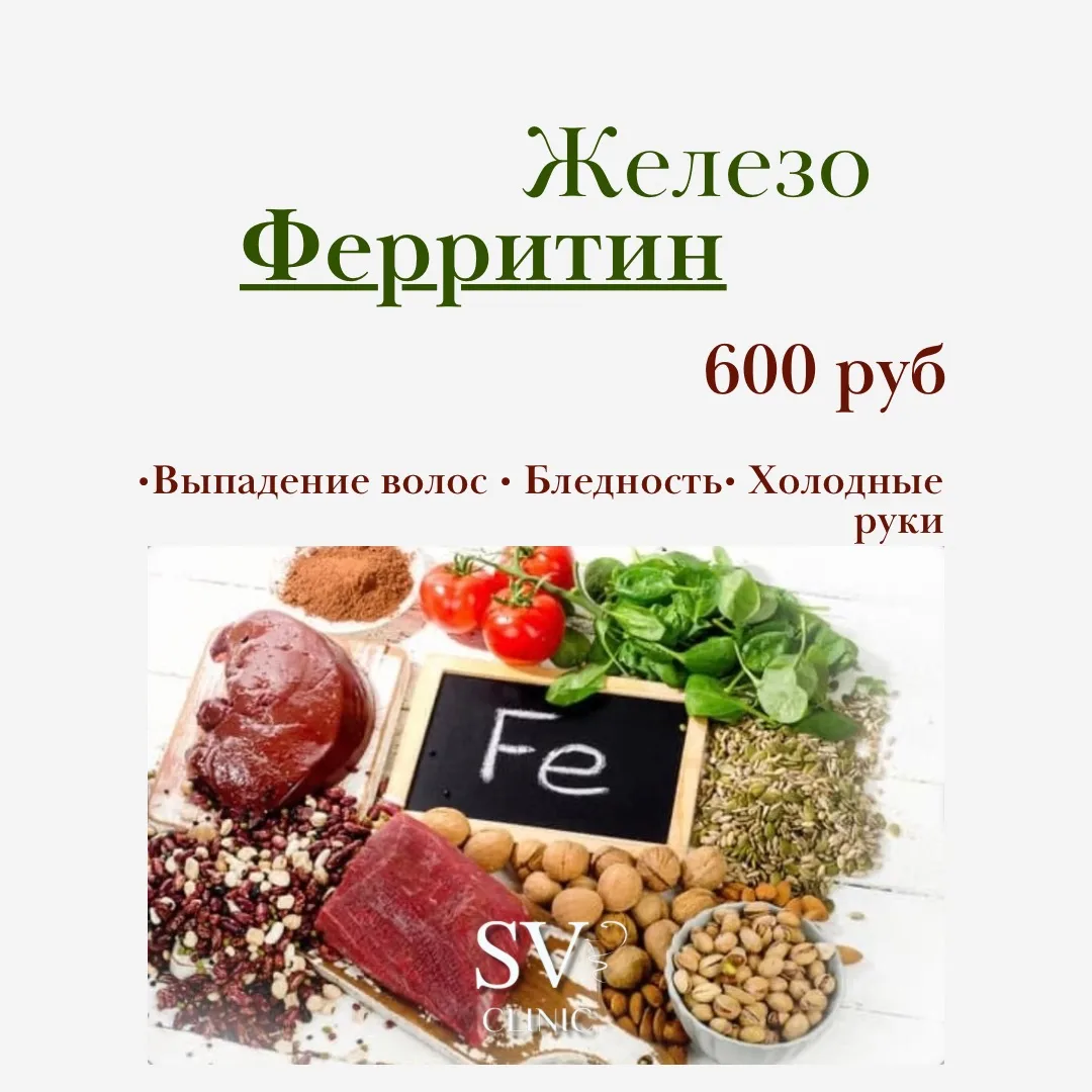 Ферритин - запас железа