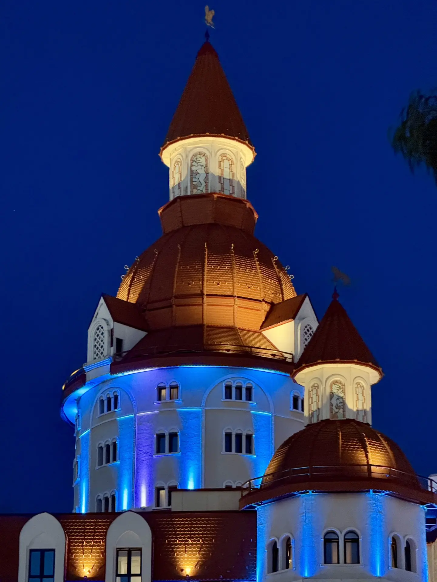 Доброй ночи, Сириус! 💫🌘