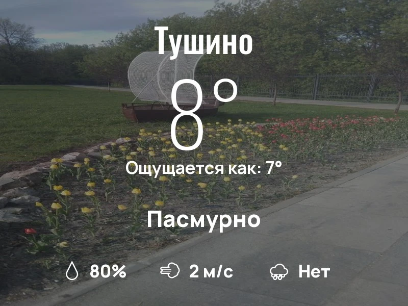 Что с погодой в Тушино?