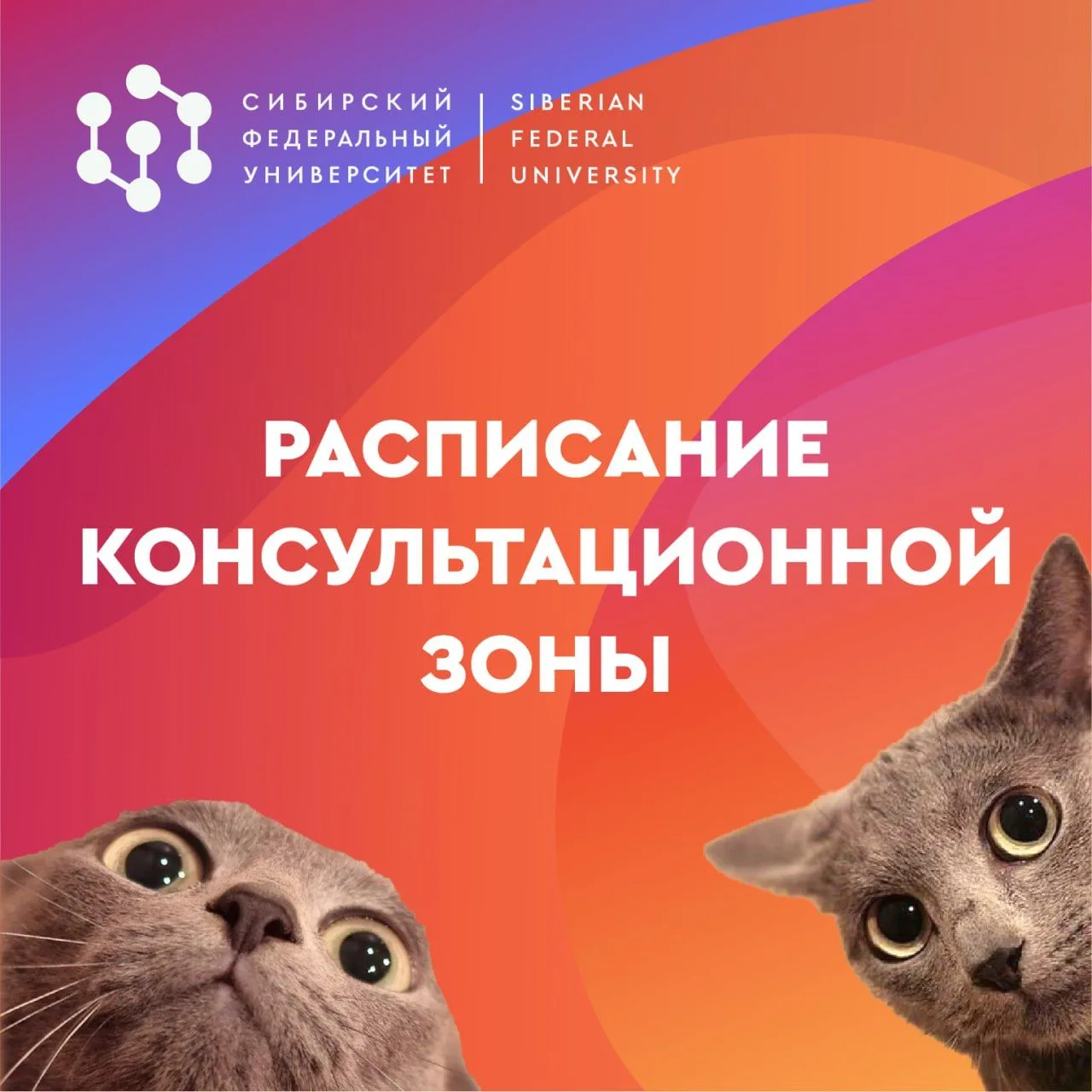 Консультации по поступлению в Сибирский федеральный выходят на новый уровень — с 1 июня...