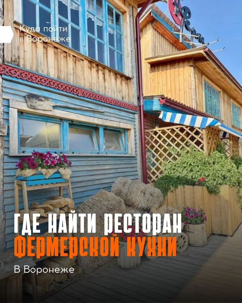 🧀 Сыры, хлеб, фрукты и овощи собственного производства… Где же попробовать