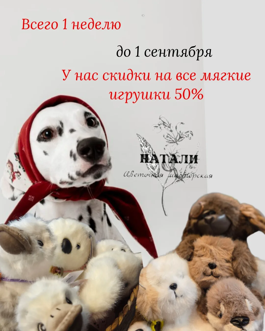 Специальное предложение!