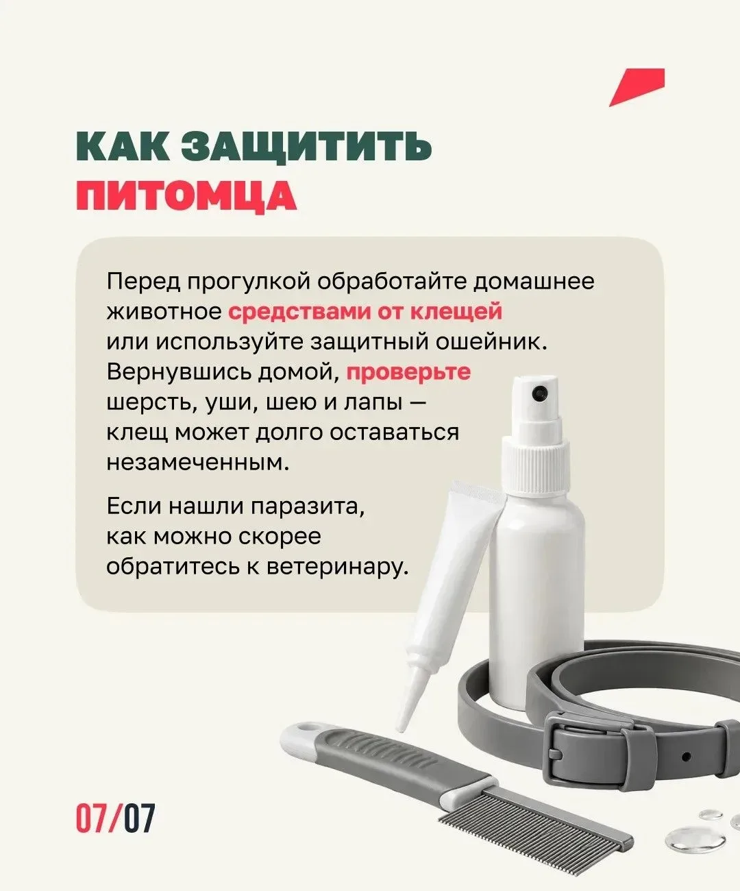 Клещи ближе, чем ты думаешь🕷️  Они обитают не только в лесу, но и на дачах, в парках и вдоль тропино