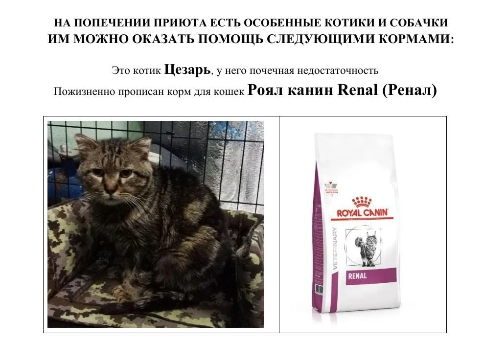 Как сделать этот мир чуточку добрее? 🥺