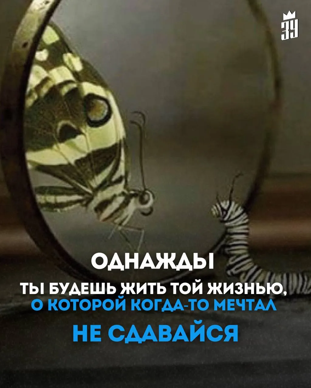 ВСЕМУ СВОЕ ВРЕМЯ.