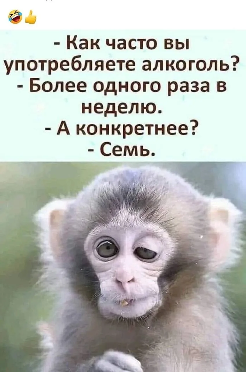 Записки алкоголика🥃 | Мы в MAX