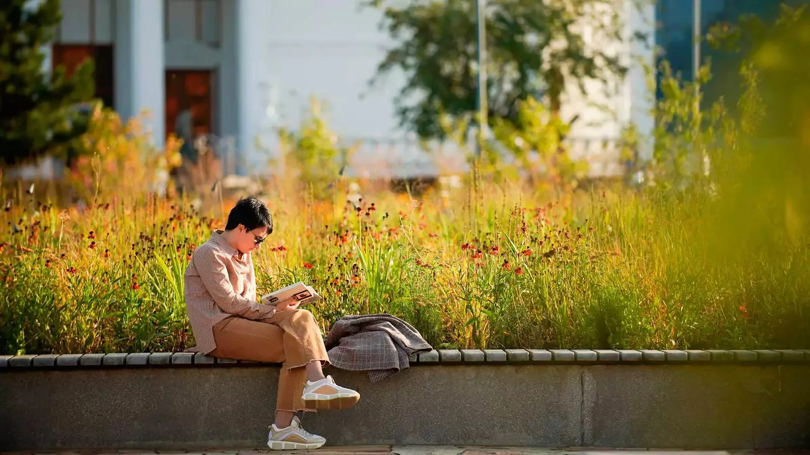 🍂 Бабье лето придёт в Реутов 8 сентября и продлится около пяти дней. Температура подни...