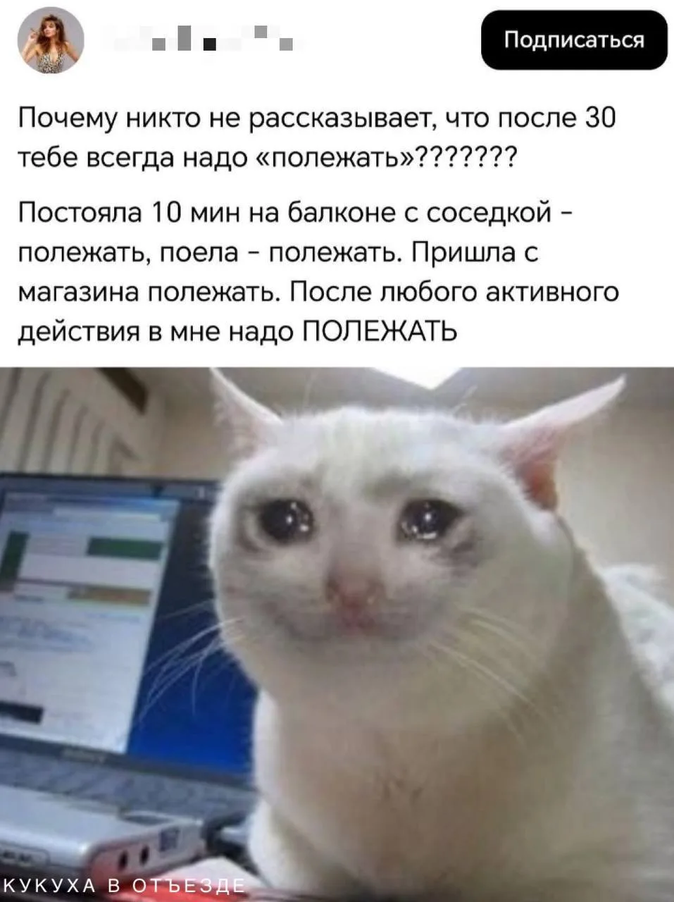 Кукуха в отъезде 🐦