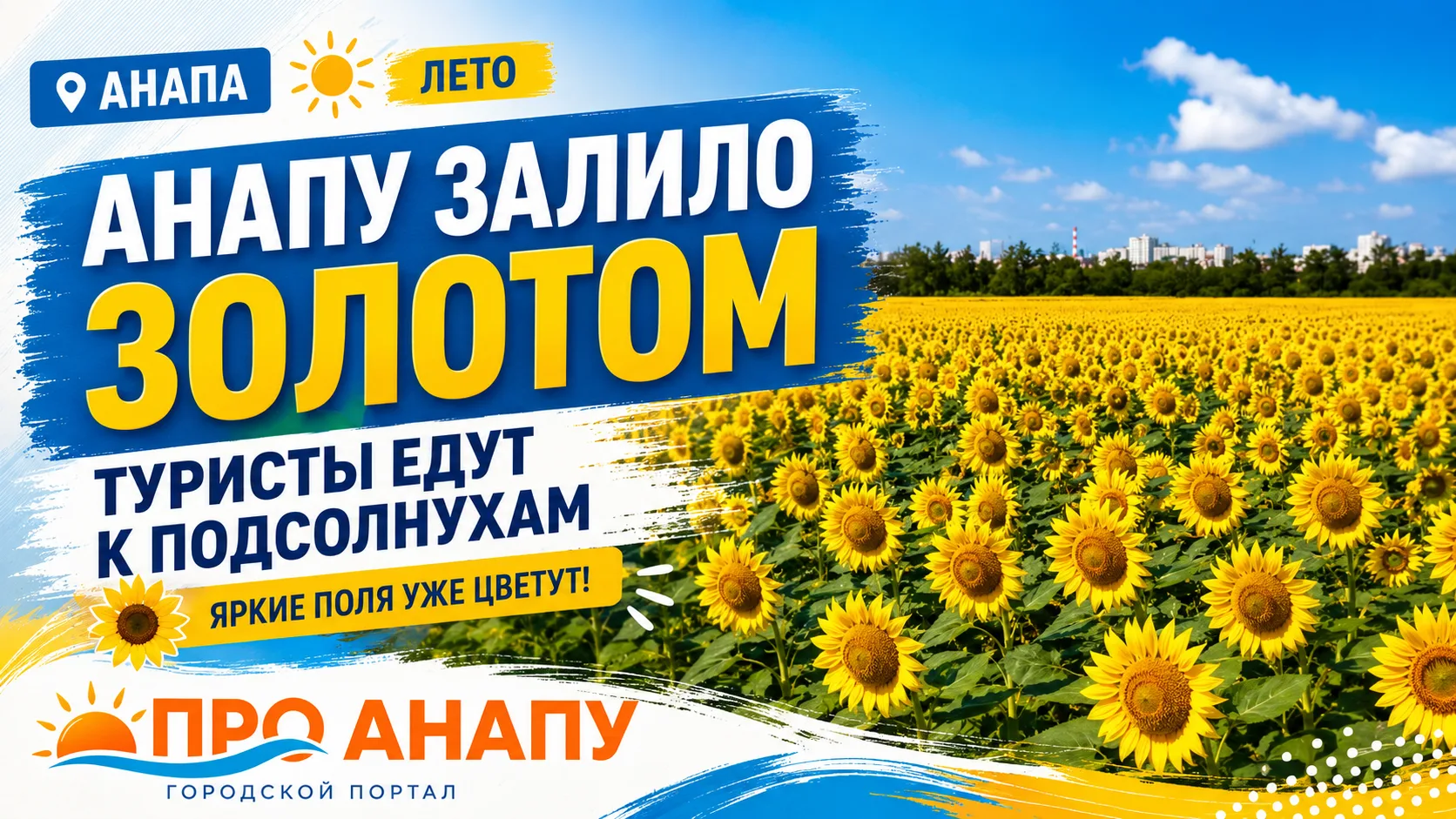 Под Анапой зацвели подсолнухи: туристы едут за яркими летними фотографиями