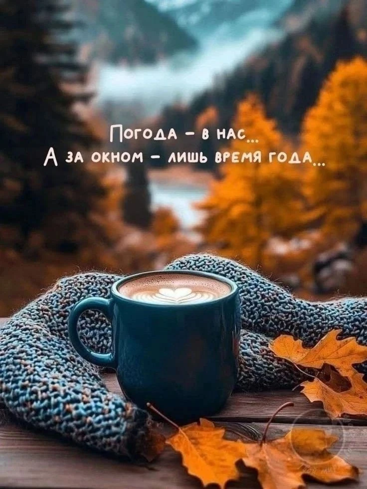Напоминание 😉
