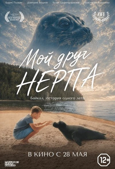 🌼Летние киновыходные в Кубанькино🌼