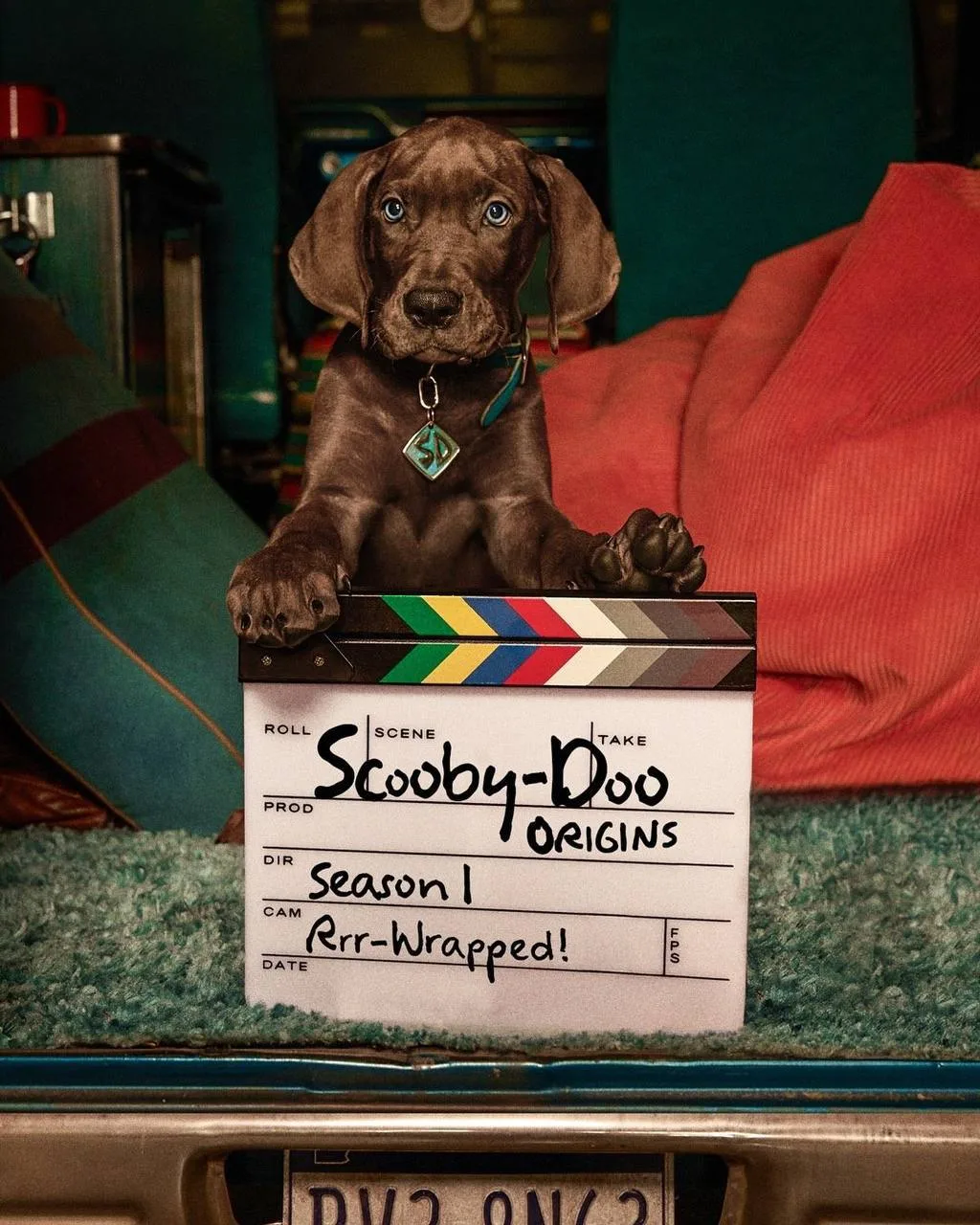 🐶 Съёмки сериала «Скуби-Ду: Начало» завершены
