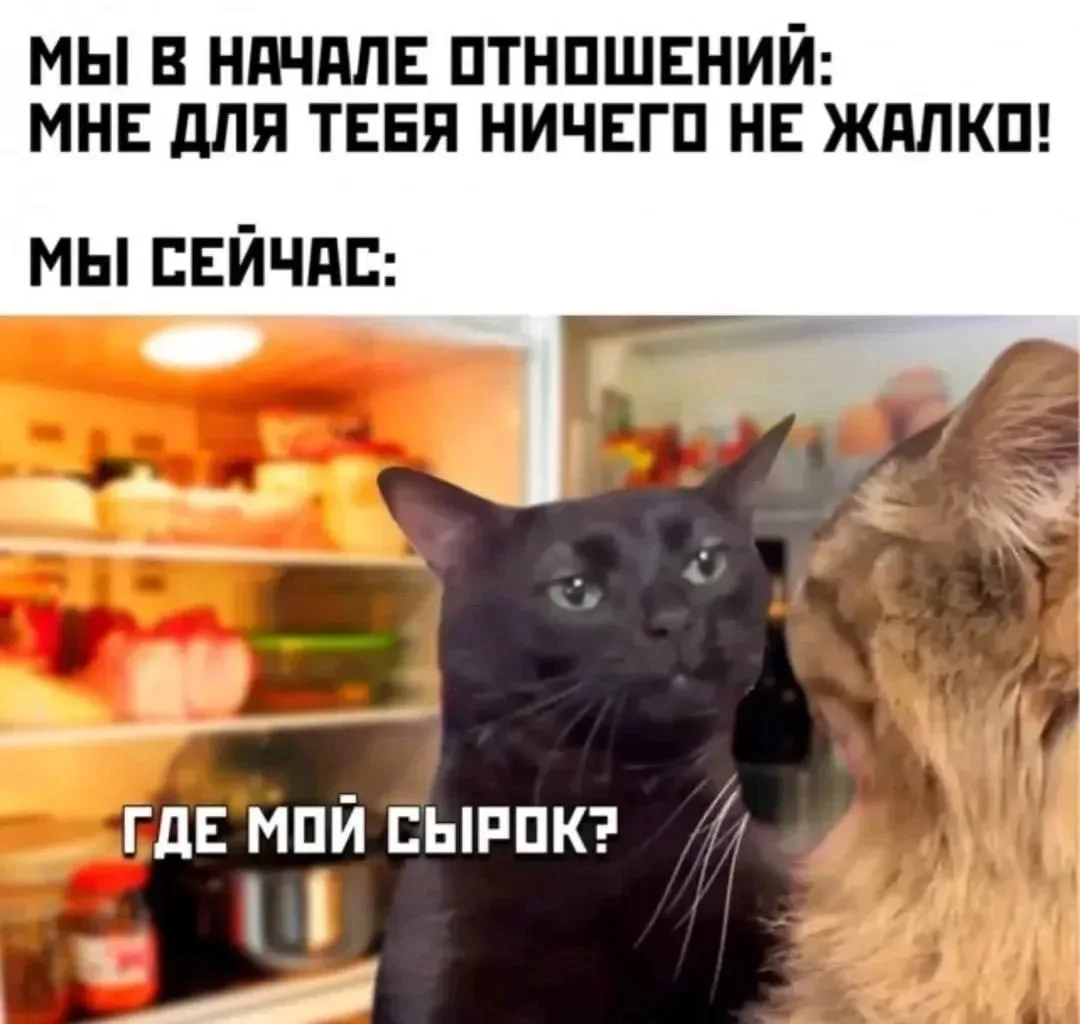 🔹 Я специально для себя брала 😄

ЮМОР 360° в MAX   |  TG