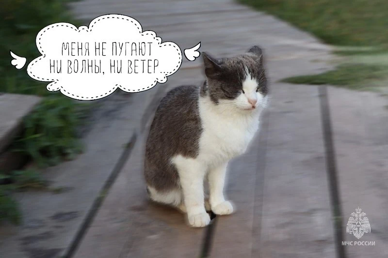 ❗️Усиление ветра! #погода