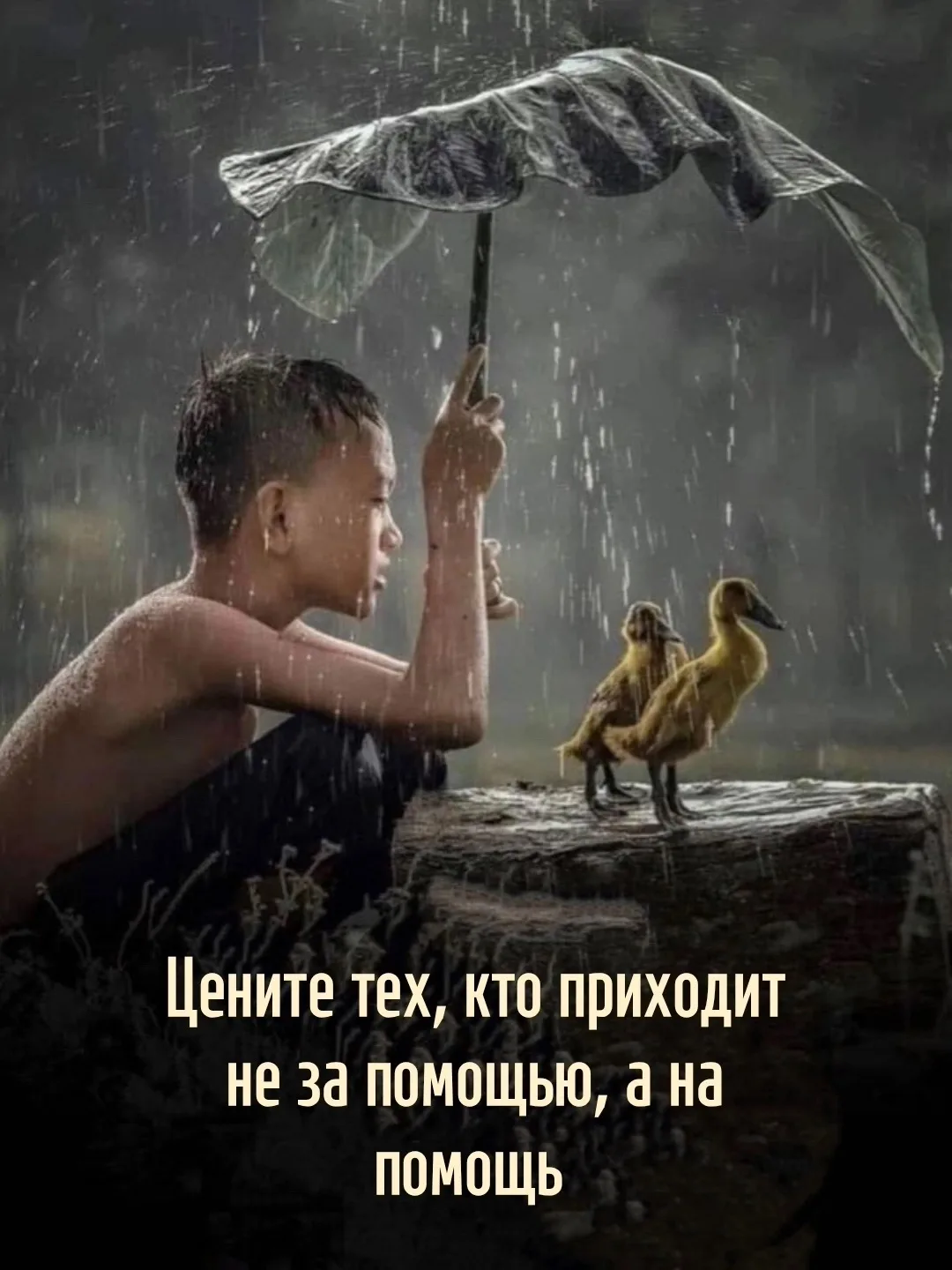 Цитаты жизни