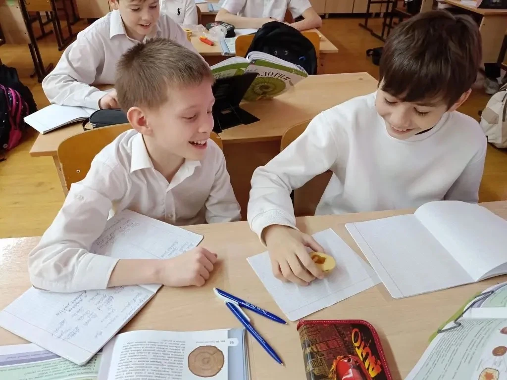 Вести с урока👩🏻‍🏫  Картофель удивительный плод или это побег? Известный нам своими вкусовыми качеств